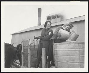 Back to the sugar house for some more boiling. Holding the reins is Dorothy Chapin, Ridgefield, Conn. Mary Ann Snelling, Lincoln, and Mary Lee Glover, (partly hidden) of Great Neck, N.Y. start pouring sap from tub to a large vat next to sugar house, where it flows through pipe into the evaporator in the sugar house. Interiors of sugar houses at this season are one mass of sweet, steaming vapor.