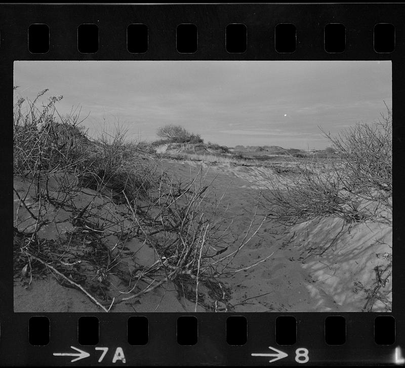 Plum Island refuge, beach, and dunes