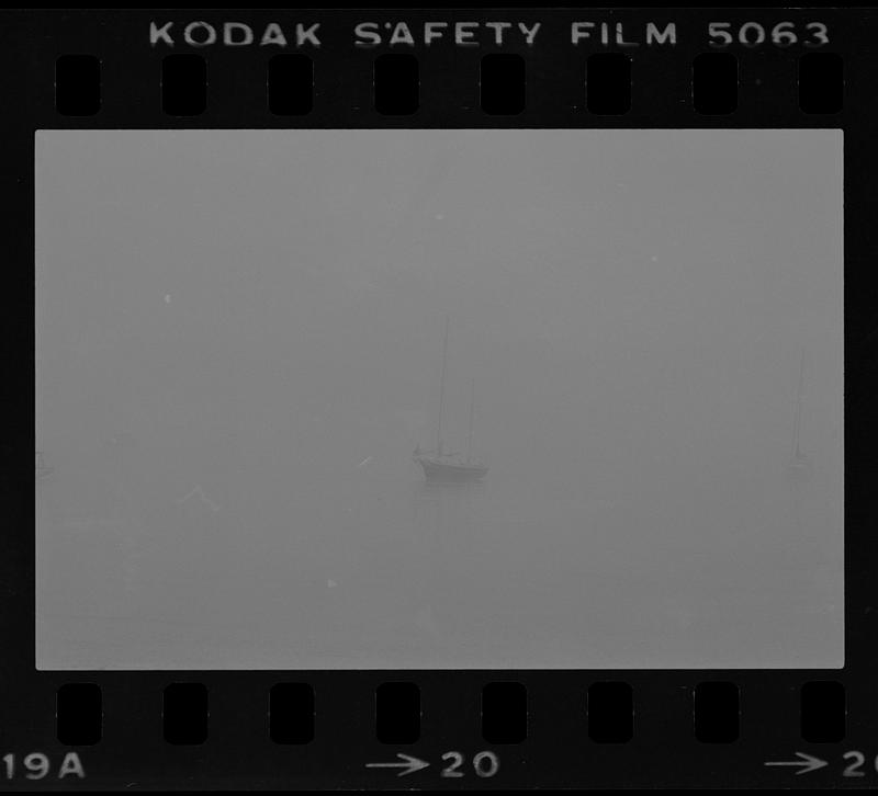 Schooner Audacity in fog