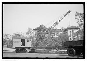 Tree removal