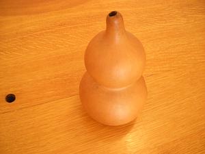 Japanese double gourd