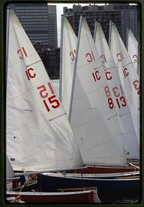 Cambridge 1984: Sloops of a sailing club make ready to sail in the Charles River