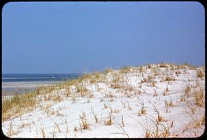 Dunes, Crane Beach