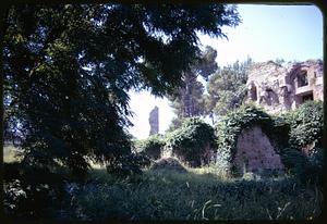 Archaeological site, possibly Palatine Hill, Rome, Italy