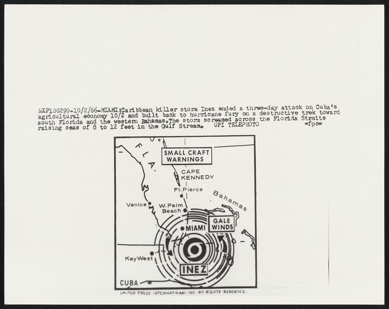 Miami: Caribbean killer storm Inez ended a three-day attack on Cuba's agricultural economy 10/2 and built back to hurricane fury on a destructive trek toward south Florida and the western Bahamas. The storm screamed across the Florida Straits raising seas of 8 to 12 feet in the Gulf Stream.