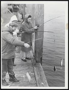 Spring Fishing for flounders is luring many eager anglers to Nantasket Steamship pier. Shown here reeling in the flat fellows are Joseph and Charles Sapienza and Charles Jr., of Dorchester; Charles Bacon and Richard Beckman of Weymouth and Joseph Urban of Framingham. The work’s cold, but the eating’s good!