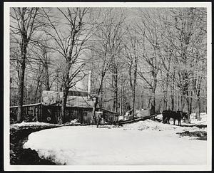 Maple sugar making along the mohawk trail.