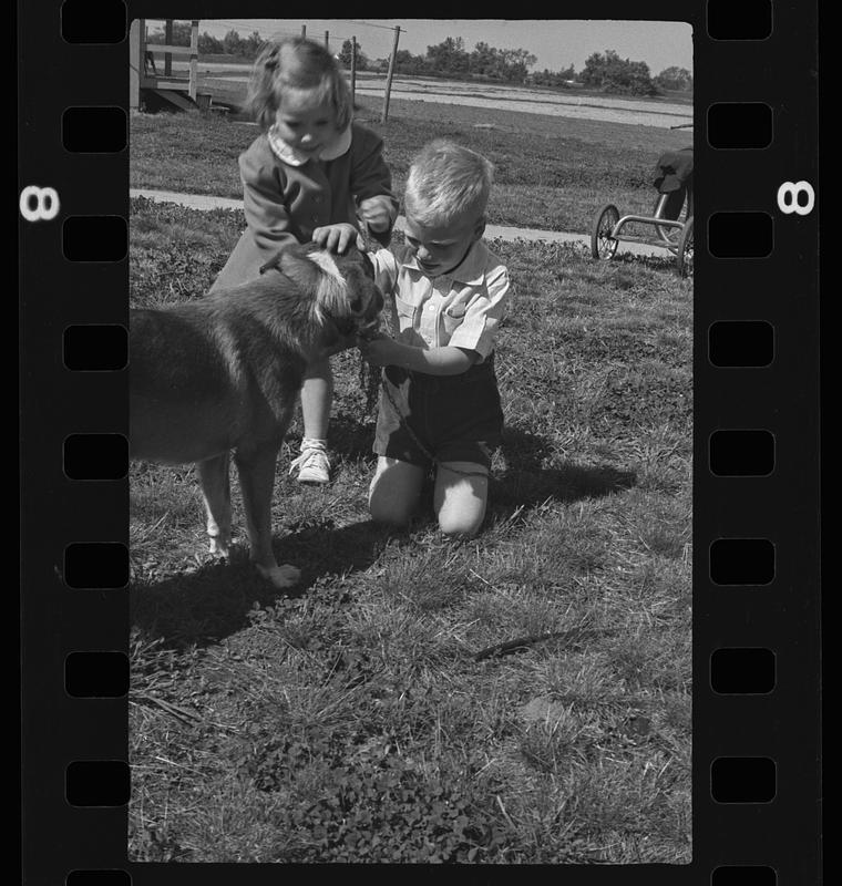 Two children playing with dog