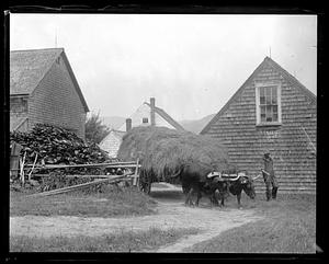 Farming - oxen - hay cart, New Hampshire