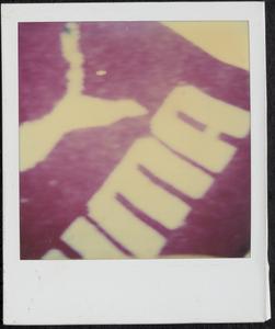 Partial Puma logo