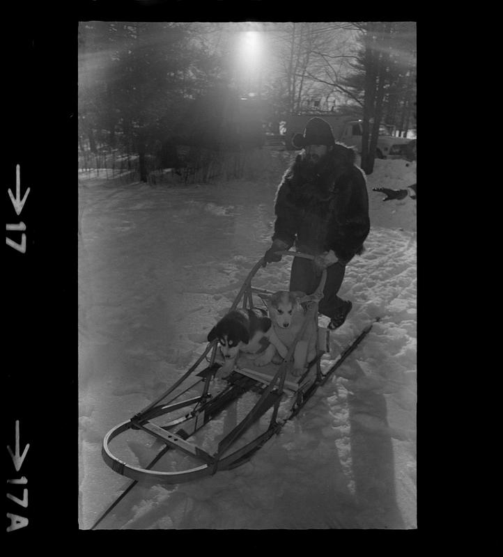 Sled dog races at Franklin Pierce College, Rindge, NH Digital Commonwealth