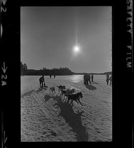 Sled dog races at Franklin Pierce College, Rindge, NH