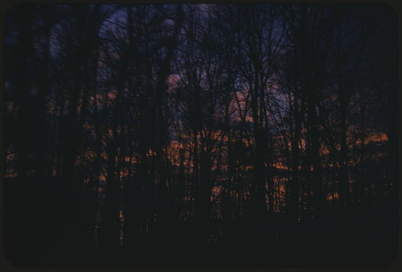 Sunrise or sunset behind bare trees