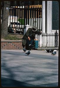 Man sitting by area with pigeons, Boston Common