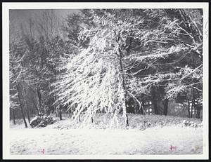 New England Gets Its First Taste of Winter. A sneak Northeast storm deposited one inch of snow in the Greater Boston and coastal areas but up to 12 inches in interior Southern New England.