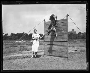 Dog jumping over wooden obstacle