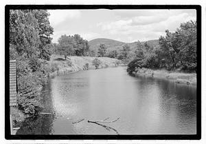 Trees by a river