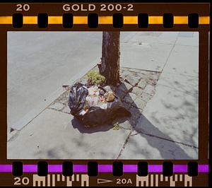 Sidewalk trash bag, Boston