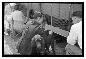 Dog show municipal hunt club