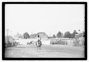 Brockton Fair