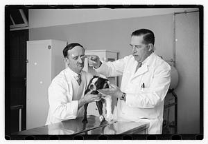 Dr. Dailey Angell Memorial Animal Hospital