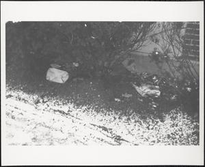 Litter among hedges