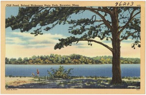 Cliff Pond, Roland Nickerson State Park, Brewster, Mass.
