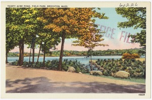 Thirty Acre Pond, Field Park, Brockton, Mass.