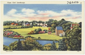 Cape Cod landscape