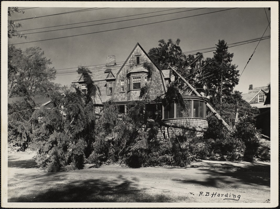 New England Hurricane, 1938. Hurricane damage