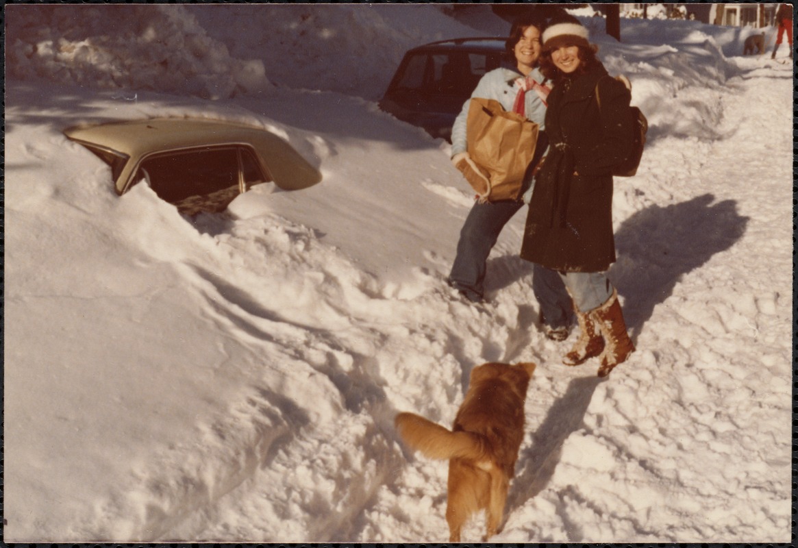 Blizzard of 1978. Maple Park, Newton Centre