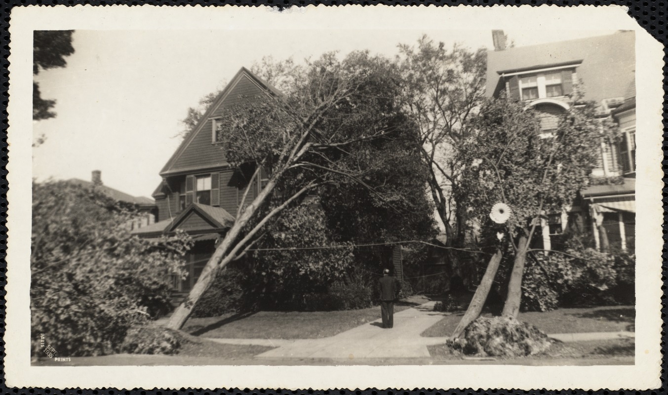 New England Hurricane, 1938. Lake Avenue