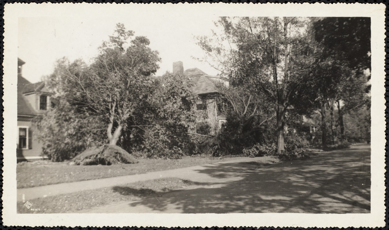 New England Hurricane, 1938. Lake Avenue after hurricane
