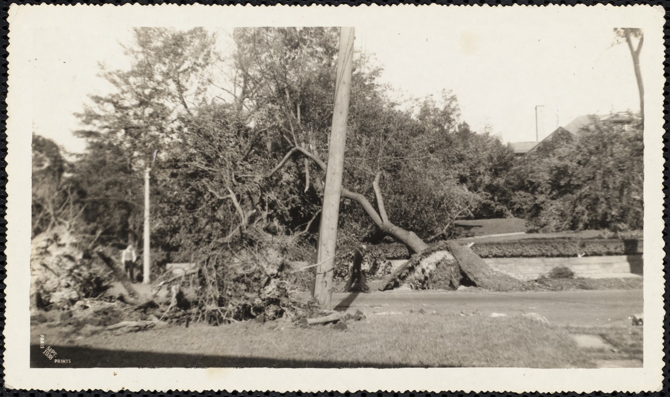 New England Hurricane, 1938. Lake Avenue after hurricane