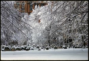 Granary Burying Ground in winter