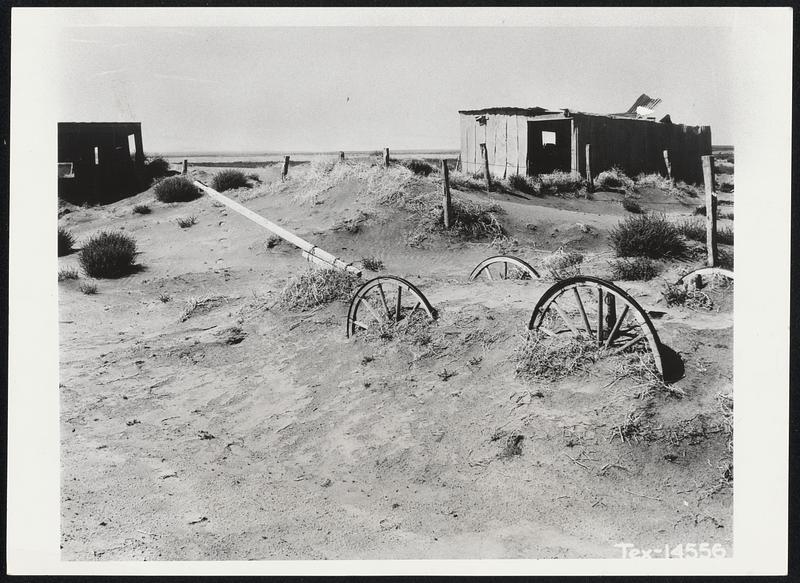 Dust Drifts. A wagon lies buried on a windblown farm in Dallam County, Tex., symbolic of the effect of the Dust Bowl disaster of the 1930's. Loose soil is drifted nearly five feet deep along the fences and against the buildings. Some residents of the Great Plains fear a repetition as a result of the current dry spell.