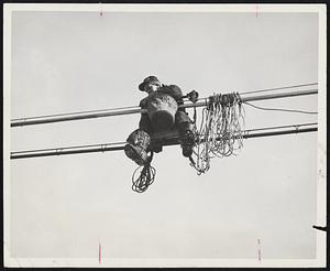 High Wire- This lineman perches on one cable as he makes repairs on another one. Linemen work up to high levels gradually.