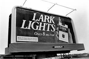 Lark lights