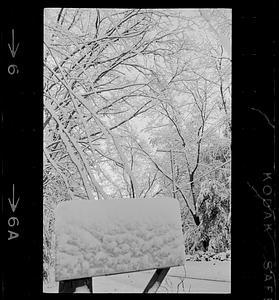 Winter scenes, Green St., State Street