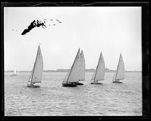 Sailboats, including "Joan" and "Geraldine"