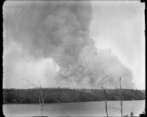 Cape Cod forest fire