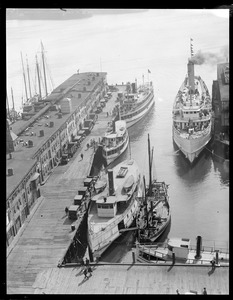 R. SS Dorothy Bradford et al. - T-Wharf