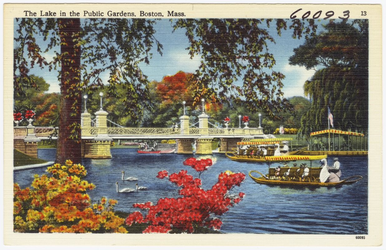 The lake in the Public Gardens, Boston, Mass.