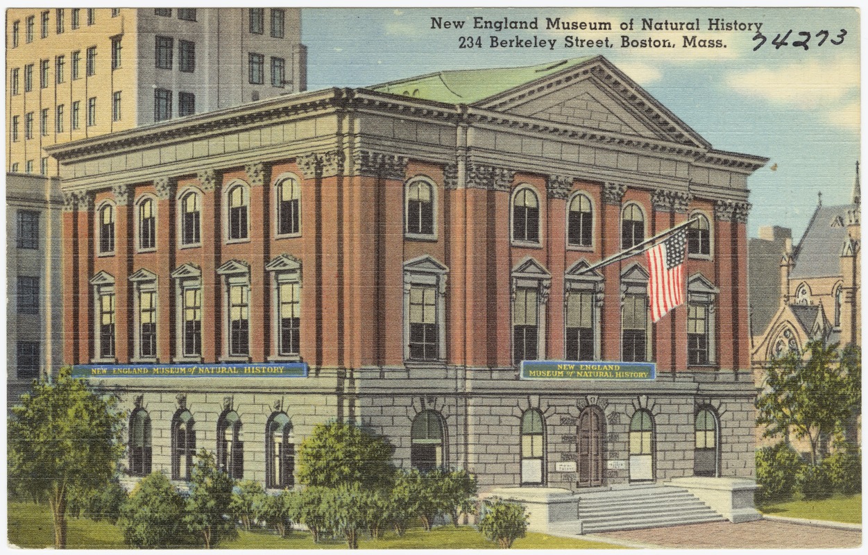New England Museum of Natural History, 234 Berkeley Street, Boston, Mass.