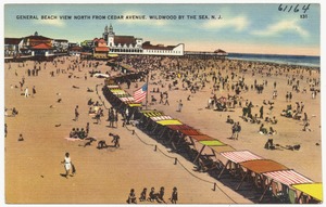 General beach view north from Cedar Avenue, Wildwood by the Sea, N. J.