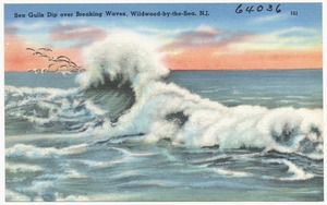 Sea gulls dip over breaking waves, Wildwood-by-the-Sea, N. J.