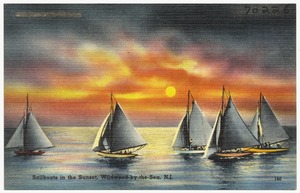 Sailboats in the sunset, Wildwood-by-the-sea, N.J.