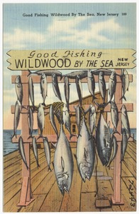 Good fishing Wildwood by the Sea, New Jersey