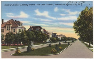 Central Avenue, looking north from 26th Avenue, Wildwood by the Sea, N. J.