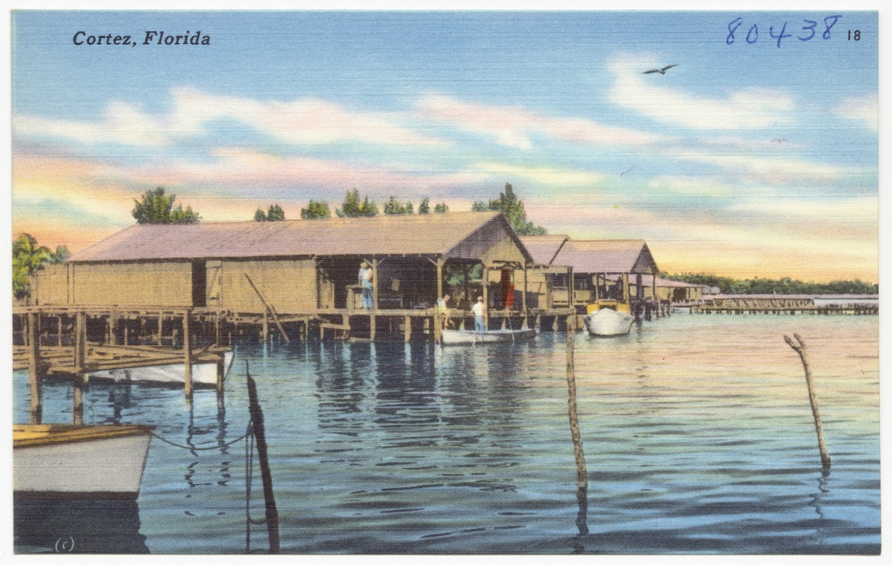 View of fishing village, Cortez, Florida Digital Commonwealth